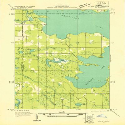 YellowMaps Blaney NE MI topo map, 1:31680 Scale, 7.5 X 7.5 Minute, Historical, 1931, 21.7 x 15.8 in - Tyvek