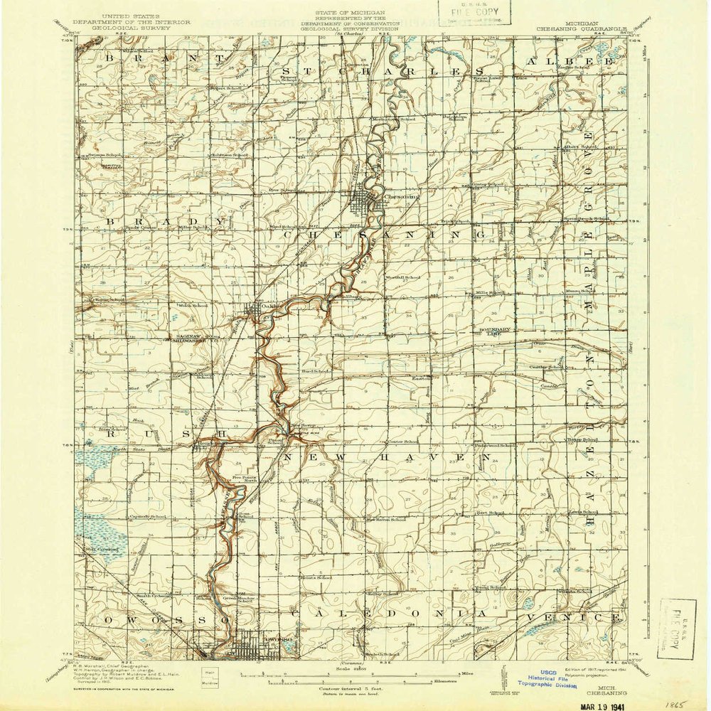 YellowMaps Chesaning MI topo map, 1:62500 Scale, 15 X 15 Minute, Historical, 1917, Updated 1941, 19.9 x 16.5 in - Tyvek