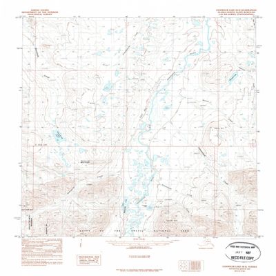 YellowMaps Chandler Lake B 3 AK topo map, 1:63360 Scale, 15 X 15 Minute, Historical, 1987, Updated 1987, 21.9 x 18.1 in - Tyvek