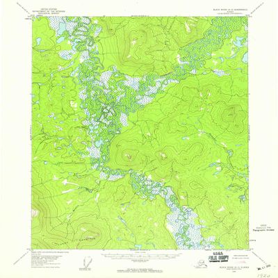 YellowMaps Black River A 3 AK topo map, 1:63360 Scale, 15 X 15 Minute, Historical, 1956, Updated 1959, 20.7 x 18 in - Tyvek