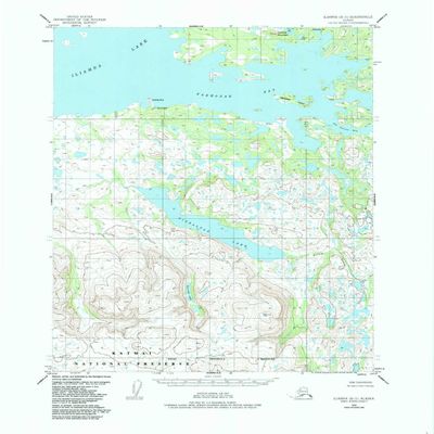 YellowMaps Iliamna B 5 AK topo map, 1:63360 Scale, 15 X 15 Minute, Historical, 1954, Updated 1985, 21.8 x 18 in - Tyvek