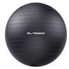 Trideer Exercise Ball for Yoga, Pilates & Fitness  Stability Ball Equipment for Home Gym & Office Chair, Core & Balance Training Accessories, Physical Therapy Equipment, Quick Pump Included, 5 Sizes view 1