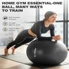 Trideer Exercise Ball for Yoga, Pilates & Fitness  Stability Ball Equipment for Home Gym & Office Chair, Core & Balance Training Accessories, Physical Therapy Equipment, Quick Pump Included, 5 Sizes view 4