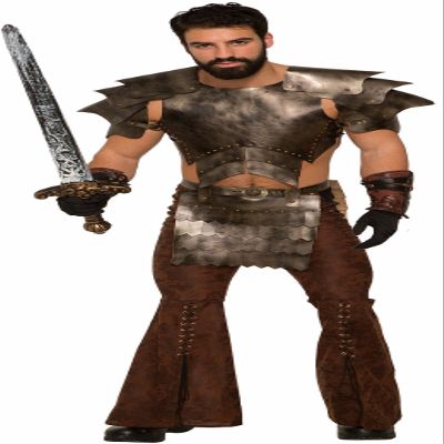 Forum Novelties Deluxe Medieval Armor Costume Accessory Set, As Shown, NS