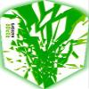 Harrows Rapide Dart Flights - 100 Micron - Slim - 1 Set (3) (Green) view 1