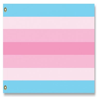 Transfeminine Pride Flag (5 x 3 ft)