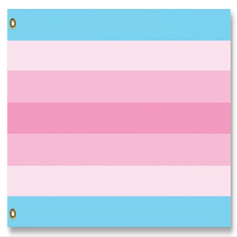 Transfeminine Pride Flag (5 x 3 ft)
