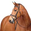 Shires Avignon Louisville Bridle - Black (Horse) view 3