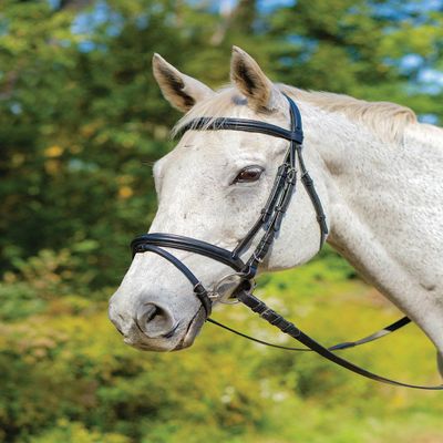 Shires Avignon Louisville Bridle - Black (Cob)
