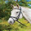 Shires Avignon Louisville Bridle - Black (Cob) view 1