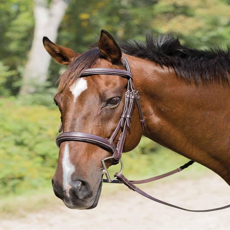 Shires Avignon Wellington Bridle (Oversize)