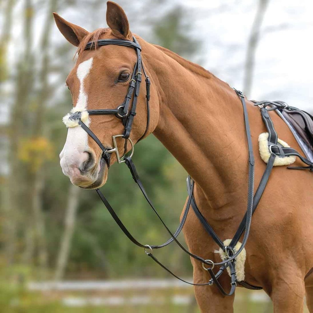 Avignon Five Point Breastplate (X-Full, Black)