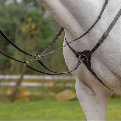Avignon Three Point Breastplate (Pony, Havana)