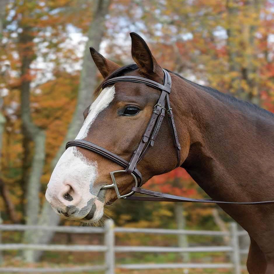 Shires Avignon Nashville Bridle - Havana (Horse)