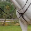 Avignon Three Point Breastplate (Cob, Havana) view 1