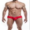 JOE SNYDER MINI Cheek 22 RED POL Extra Large view 4