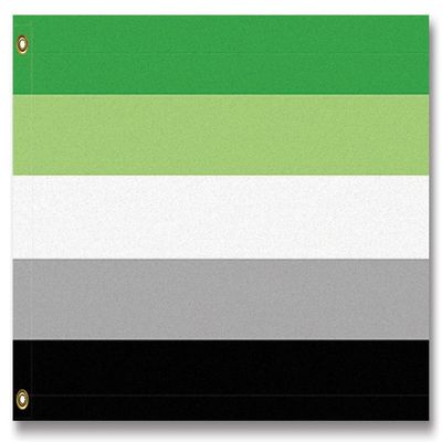Resist United Aromantic Pride Flag (5 x 3 ft)