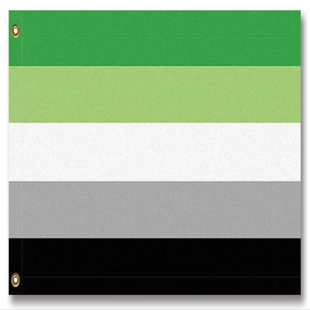 Resist United Aromantic Pride Flag (5 x 3 ft)