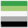 Resist United Aromantic Pride Flag (5 x 3 ft) view 1