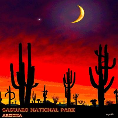 Magnet Saguaro National Park Southern Arizona U.S. Travel Advertisement Magnet Print