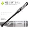GP 44279Y Baseball Training Bat, Junior, 31.5 inches (80 cm), 27.1 oz (800 g), Wooden, Black x Silver view 2