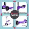 Lascoota 2-in-1 3-Wheel Scooter - Removable Seat Toddler Scooter - 4-Position Adjustable Handlebars Outdoor Toys - LED Light-Up Wheels Toys for Ages 5-7 - Purple, Ages 3-12, 100 lb Max view 3