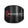 Phoenix Fight Gear Flight Belly Protector Boxing Body Protector, MMA Training Equipment and Sparring Gear, in Adult Sizes (Black, Large) view 1