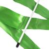 Cannon Sports Gymnastics Wand for Dancing, Cheerleading, Olympic Tournament, & Artistic Competitions (Green) view 3