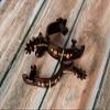 Showman Brown Steel spur with Copper Studed Cross and Engraved Copper and Gold Studs view 2
