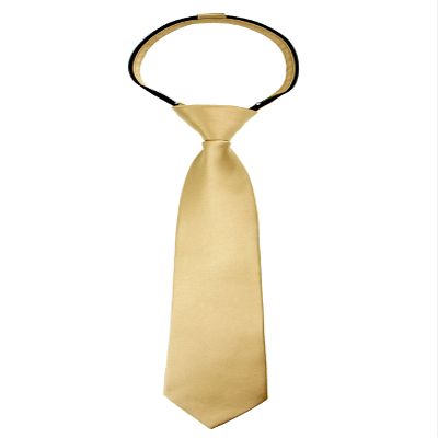 Spring Notion Boys' Pre-tied Satin Zipper Necktie - Adjustable Ties for Kids, X-Large, Antique Gold
