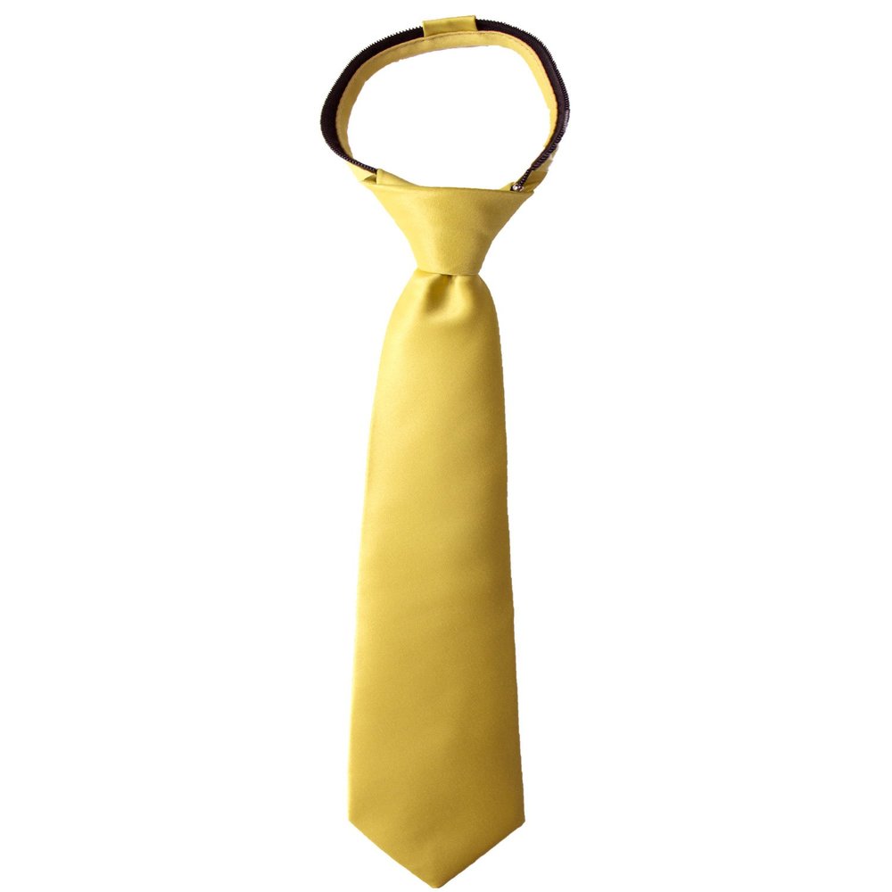 Spring Notion Boys' Pre-tied Satin Zipper Necktie - Adjustable Ties for Kids, X-Large, Gold
