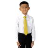 Spring Notion Boys' Pre-tied Satin Zipper Necktie - Adjustable Ties for Kids, X-Large, Gold view 3