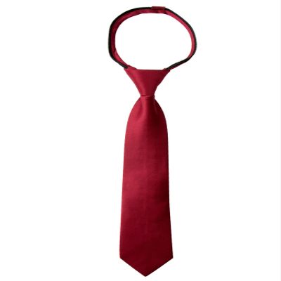 Spring Notion Boys' Pre-tied Satin Zipper Necktie - Adjustable Ties for Kids, Medium, Red