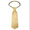 Spring Notion Boys' Pre-tied Satin Zipper Necktie - Adjustable Ties for Kids, Small, Antique Gold