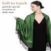 Achillea Women's Two Tone Vintage Jacquard Paisley Pashmina Shawl Wrap Scarf (Kelly Green) view 2