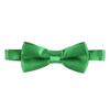 Baby Boys First Birthday Adjustable Y Back Elastic Clip Suspenders Cake Smash Outfit Tuxedo Pre-tied Bloomers Bowtie set Z# Green view 2
