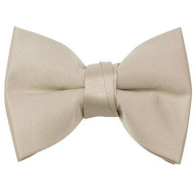 Spring Notion Boys' Pre-Tied Banded Satin Bow Tie, X-Large, Champagne