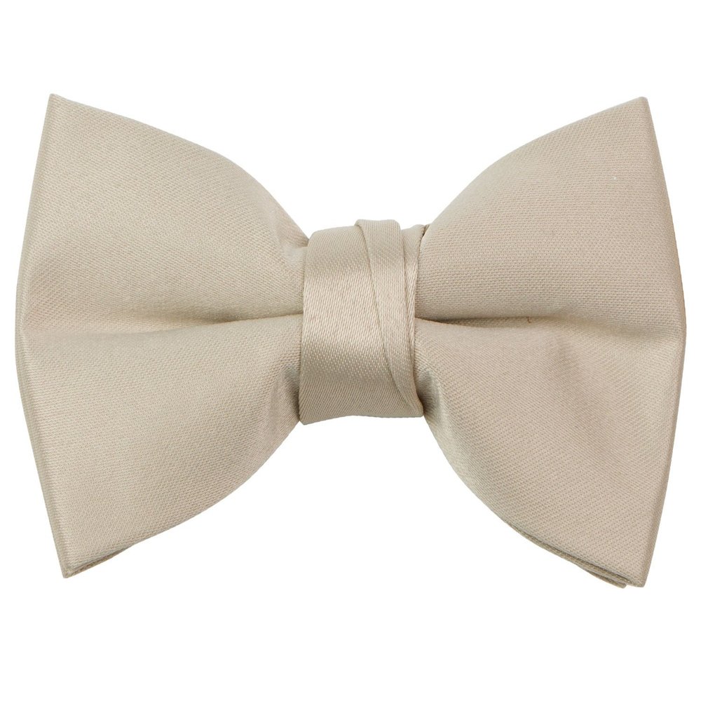 Spring Notion Boys' Pre-Tied Banded Satin Bow Tie, X-Large, Champagne