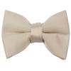 Spring Notion Boys' Pre-Tied Banded Satin Bow Tie, X-Large, Champagne view 1