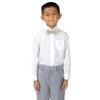 Spring Notion Boys' Pre-Tied Banded Satin Bow Tie, X-Large, Champagne view 2