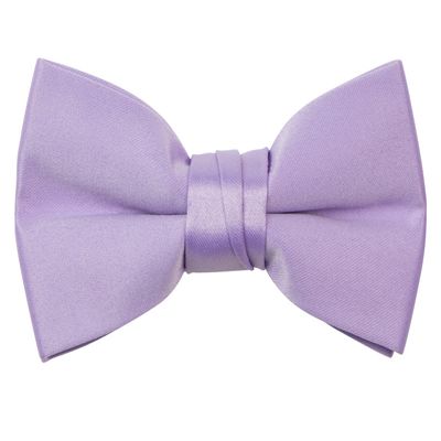 Spring Notion Boys' Pre-Tied Banded Satin Bow Tie, Medium, Lilac