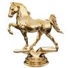 6" Gold Tennessee Horse Trophies - Personalized Horse Trophy Award 5 Pack view 2