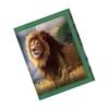 3D LiveLife Wallets - Big Cat Expedition from Deluxebase. Lenticular 3D Wild Animal Wallet. Cash, coin and card holder with artwork licensed from renowned artist Jerry LoFaro view 1