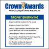 6" Gold T-Ball Trophies - Custom Girls T Ball Trophy Award 50 Pack Prime view 4