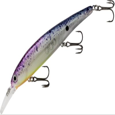 BAND-IT BDTWBS1B24 Walleye Shallow Rave