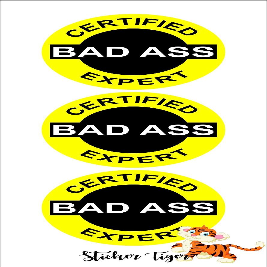 3 - Certified Bad Ass Expert Helmet/Hard Hat/Motorcycle Sticker Decal