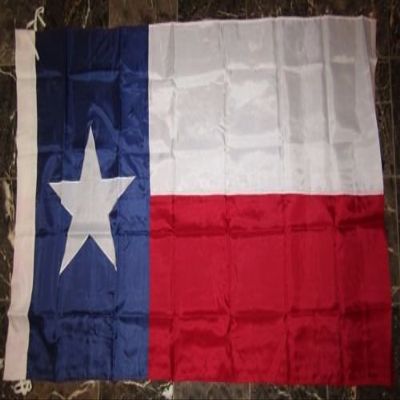 Moon 3x5 Embroidered Sewn Texas 300D Nylon Texas Flag 3x5 Banner Sleeve Pole - Bright Color UV Resistant - Prime Outside Garden Cave Home Decor