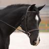 KL Select Black Oak Cyprus Hunter Bridle Horse (Cob) view 1