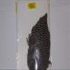 Veniard Genetic Hen Capes (Grizzly) view 1