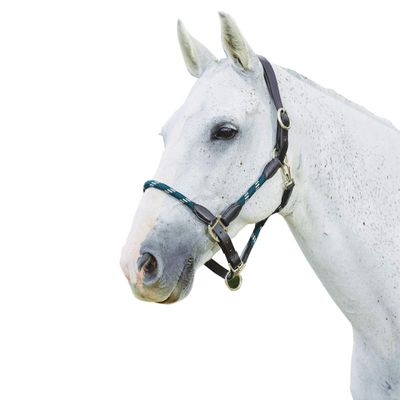Kincade Leather Rope Halter, Hunter Green/Brown, Cob
